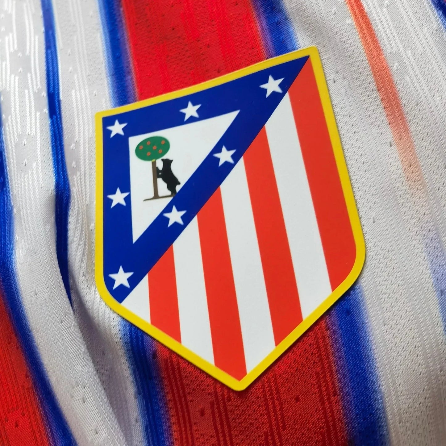 ATLÉTICO DE MADRID 2024/25