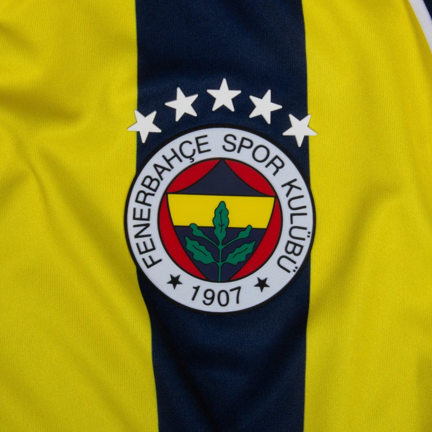 Fenerbahce 2025/26