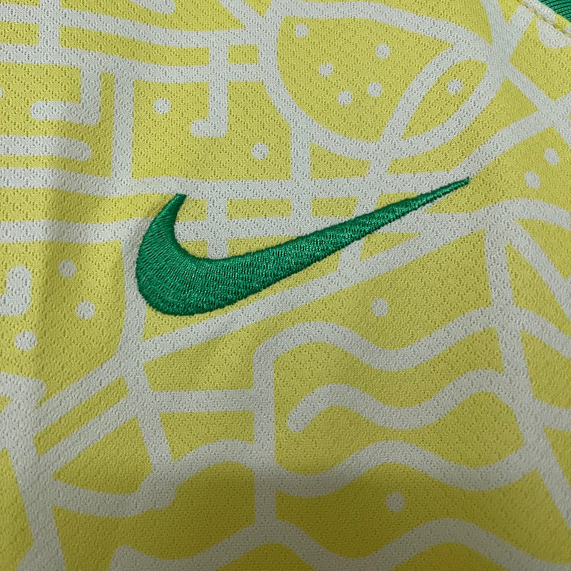 BRASILIEN 2024/25